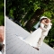 Hochzeit2009_072.jpg